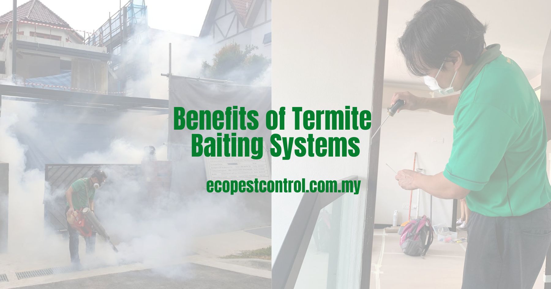 Benefits of Termite Baiting Systems