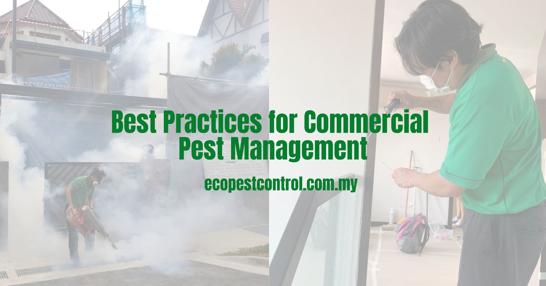 Best Practices for Commercial Pest Management