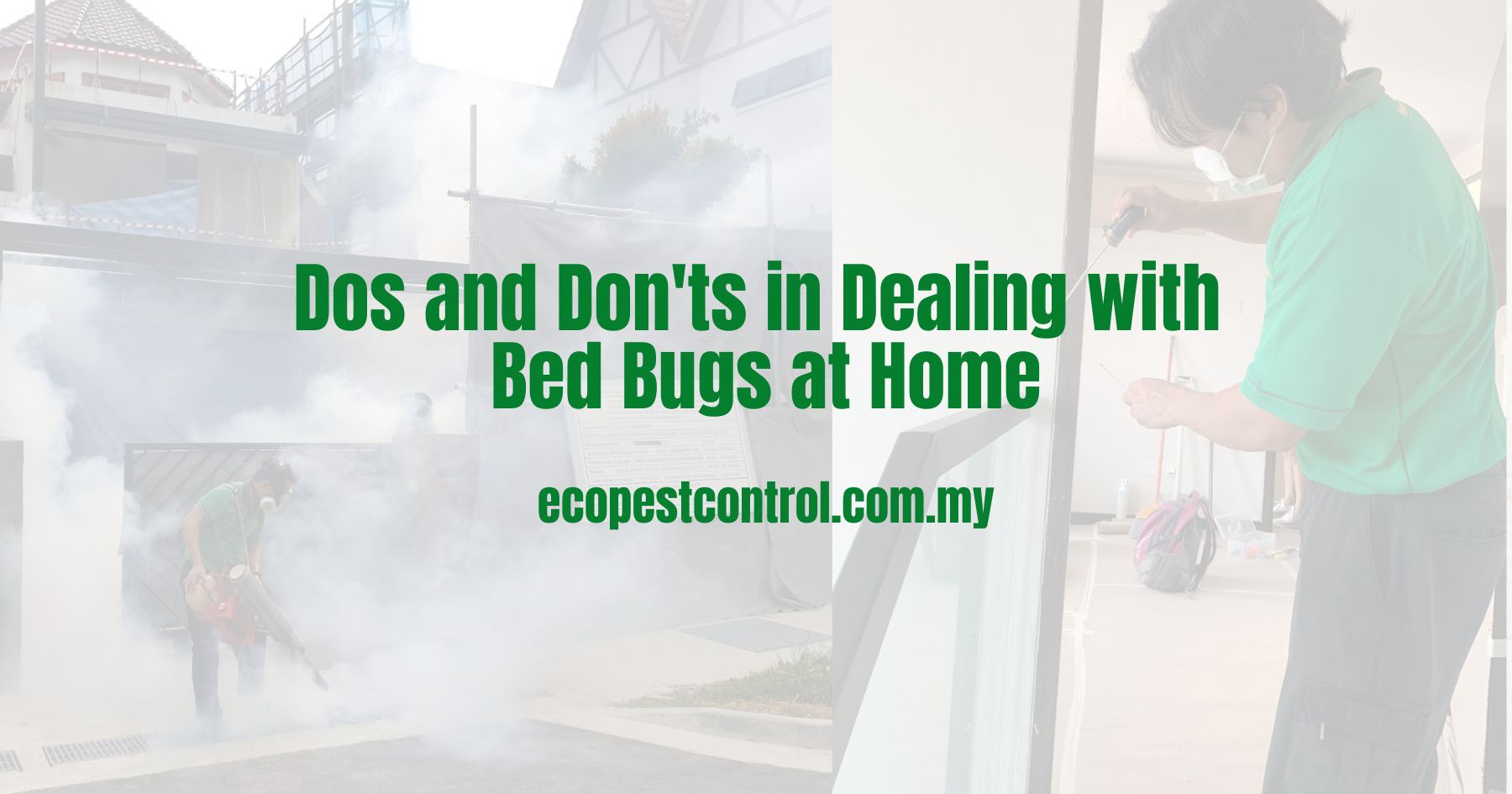 Dos and Don'ts in Dealing with Bed Bugs