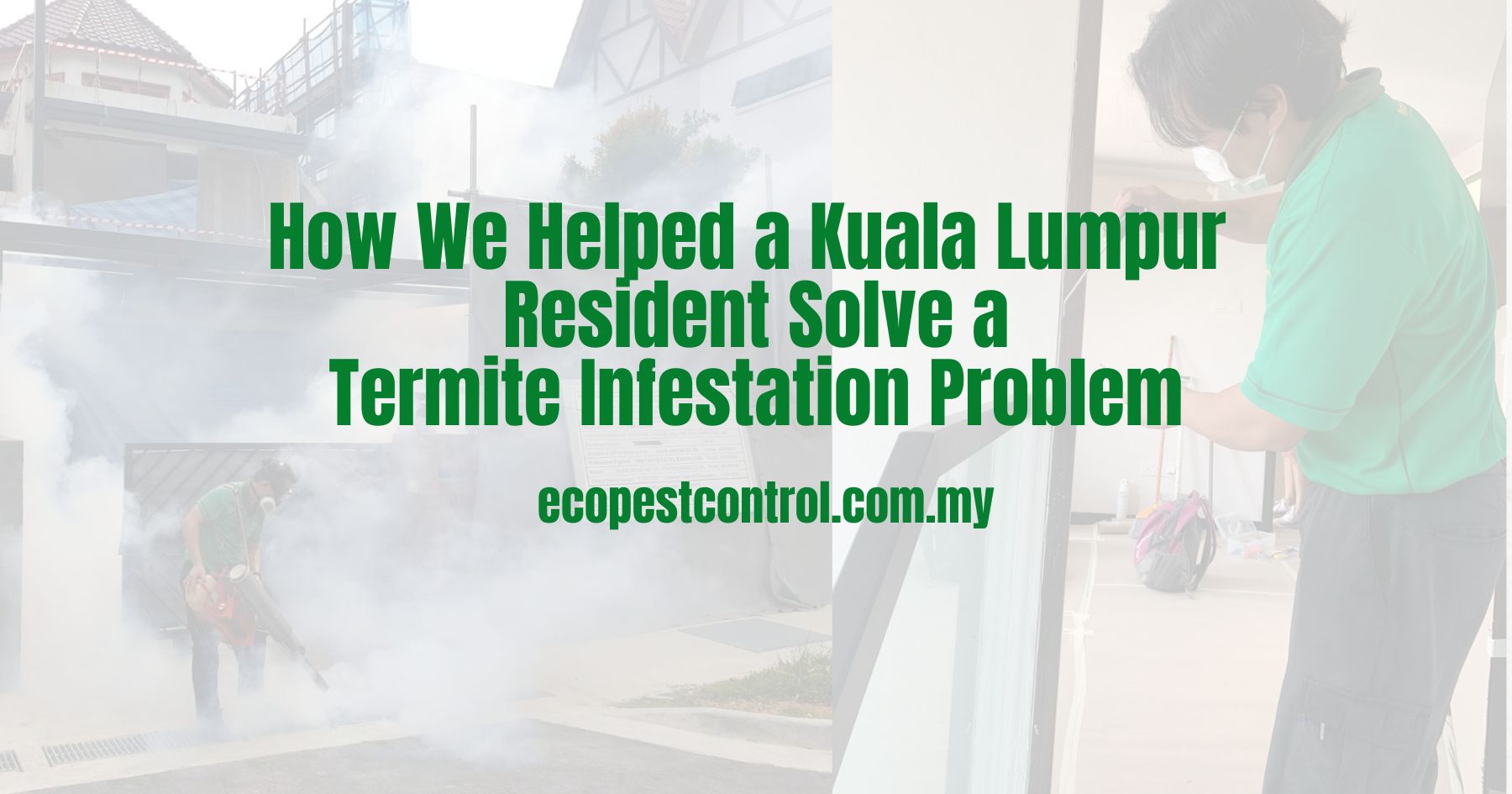 How We Eliminated Bed Bug Infestations In Kuala Lumpur Hotels