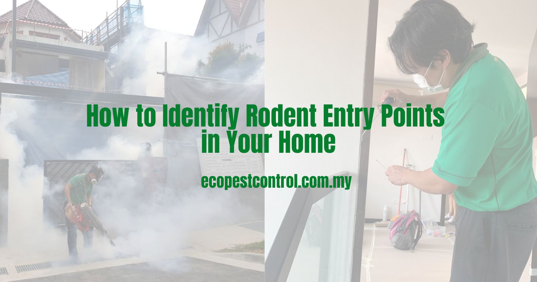How to Identify Rodent Entry Points in Your Home