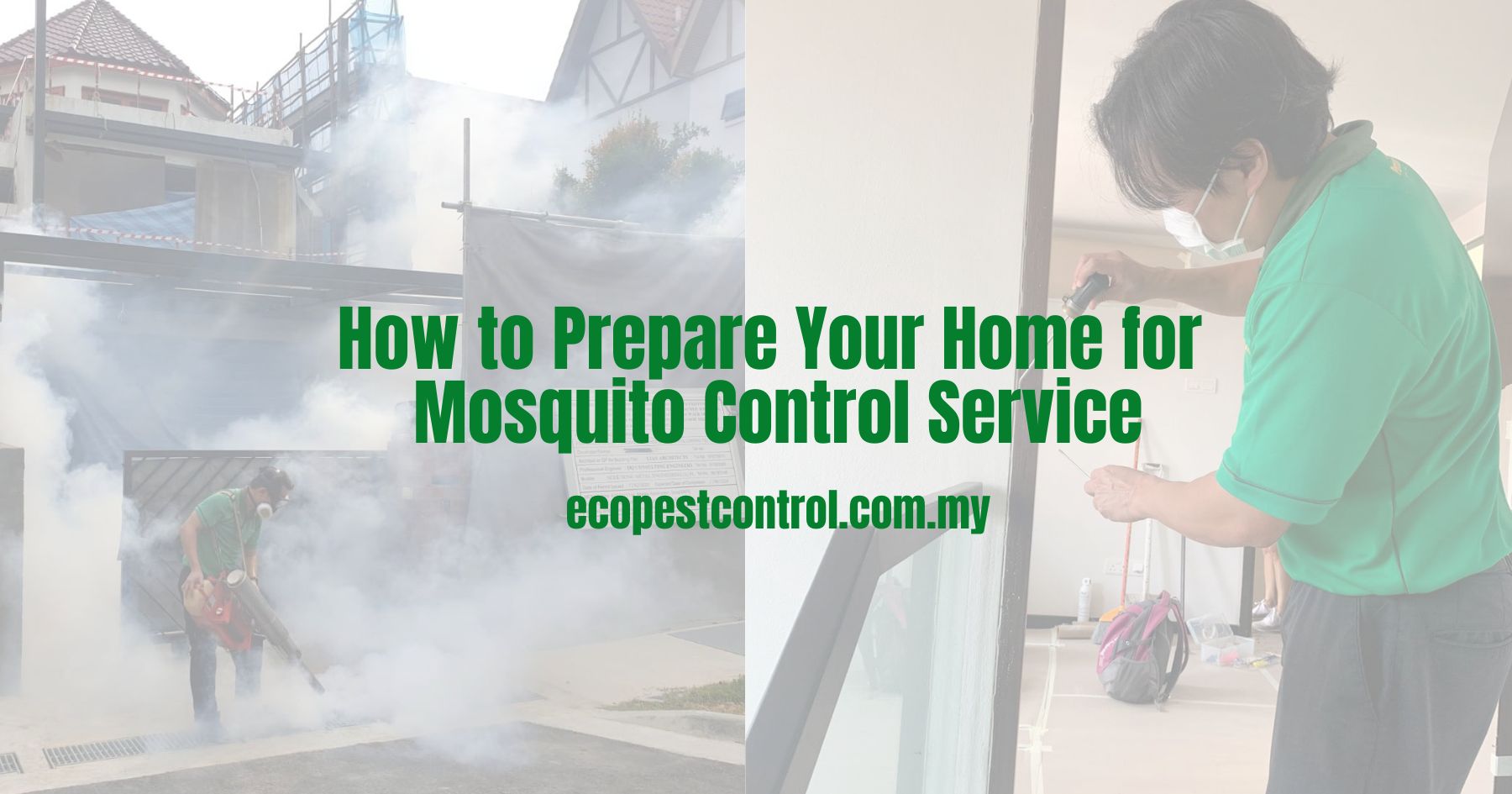 How to Prepare Your Home for Mosquito Control Service