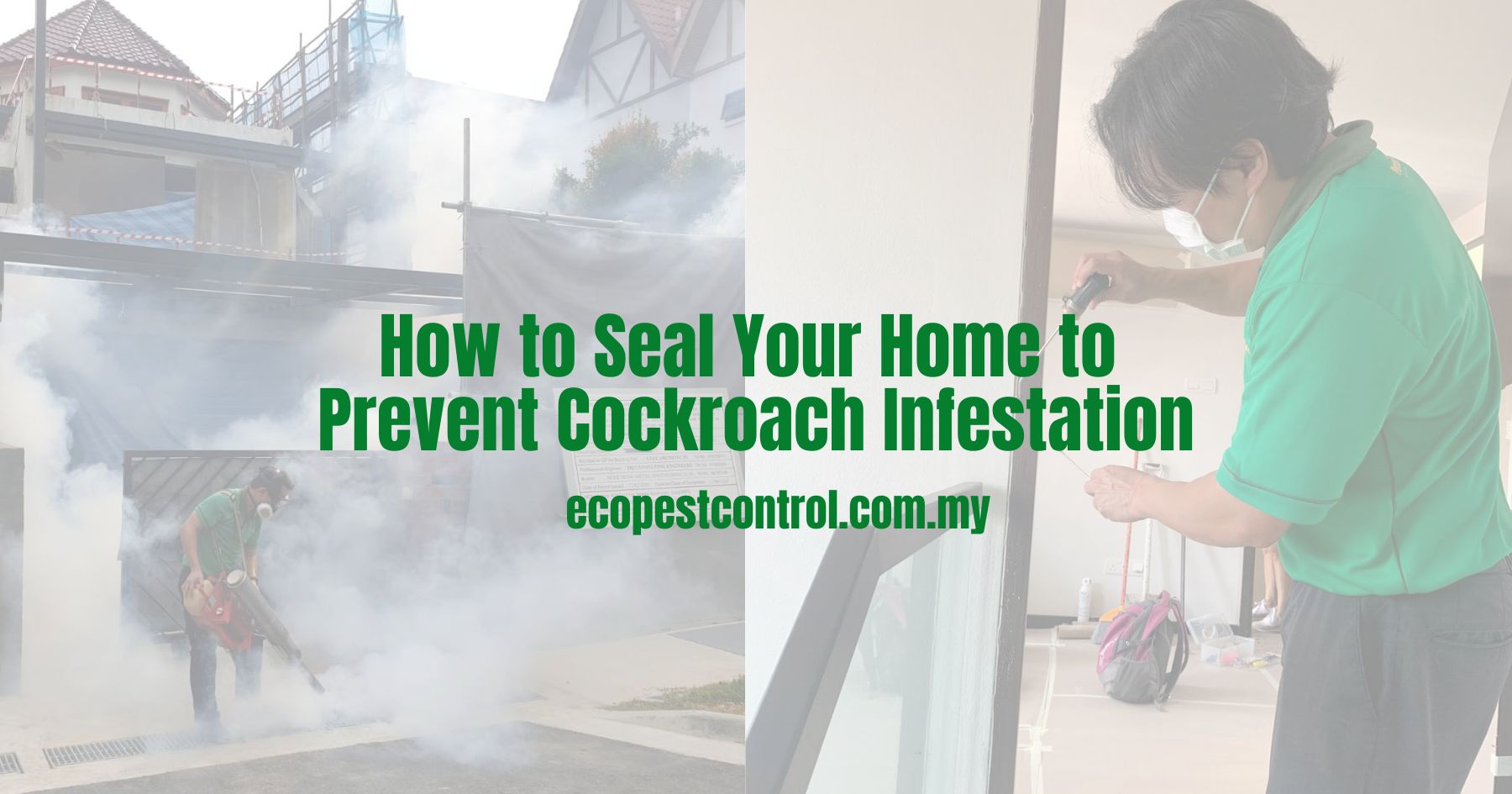 How to Seal Your Home to Prevent Cockroach Infestation