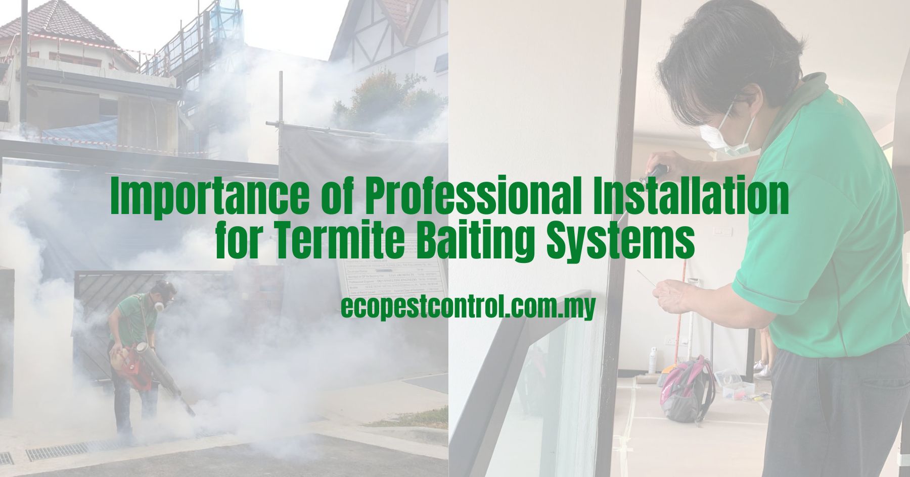 Importance of Professional Installation for Termite Baiting Systems