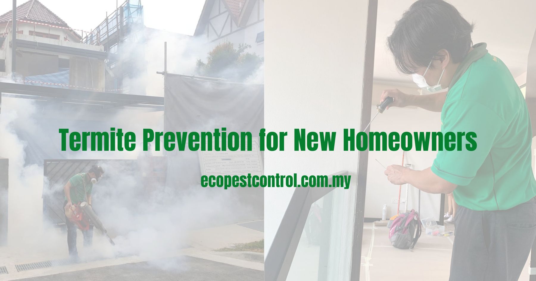 Termite Prevention for New Homeowners