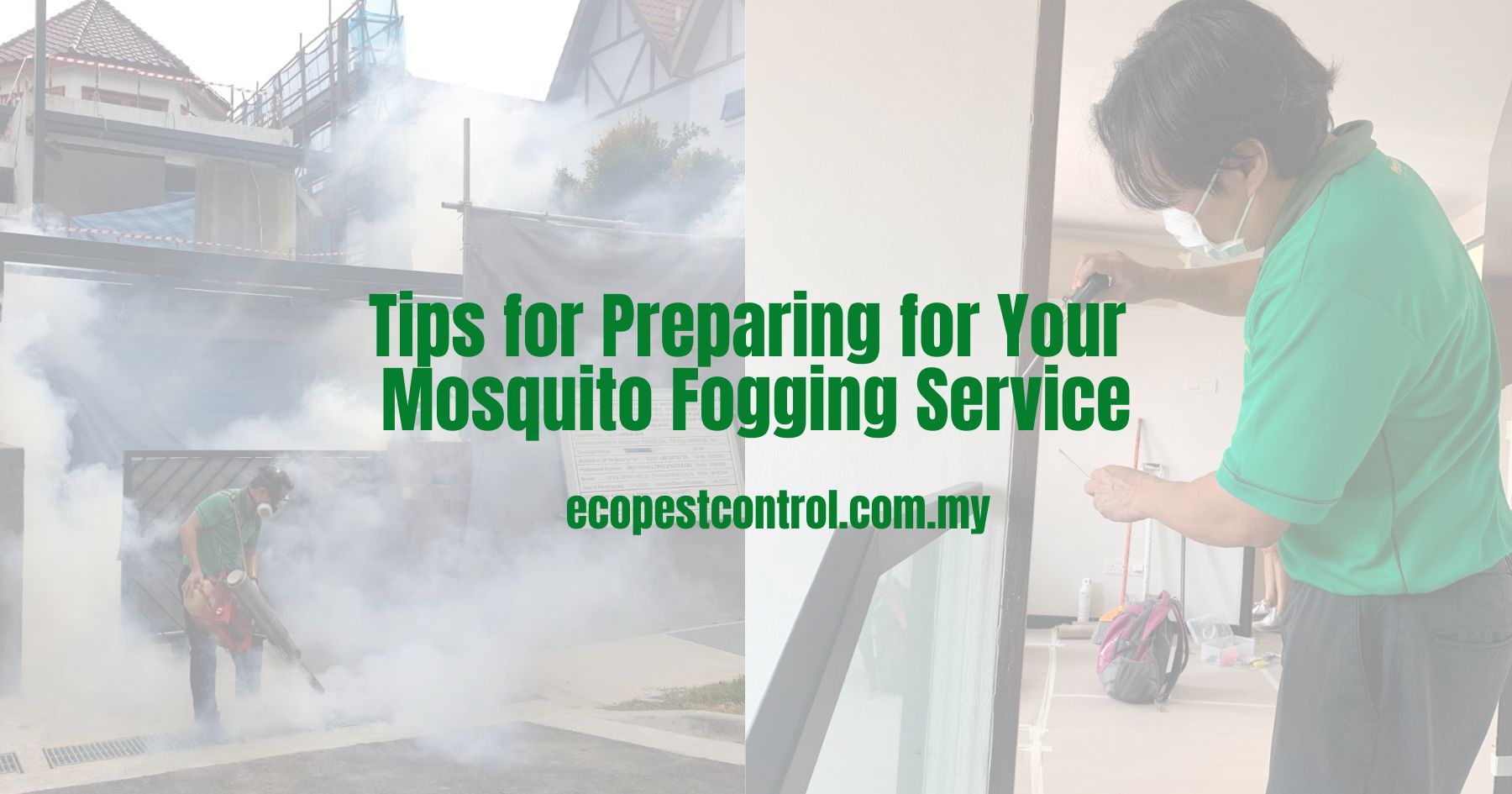 Tips for Preparing for Your Mosquito Fogging Service