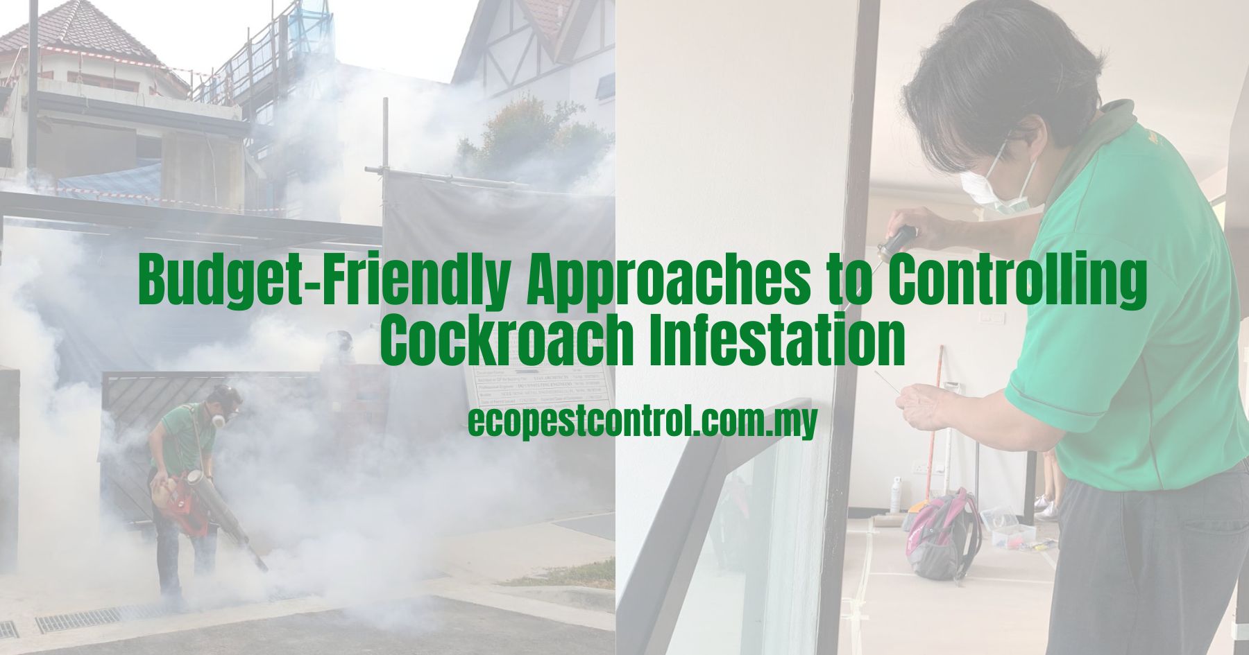 Budget-Friendly Approaches to Controlling Cockroach Infestation