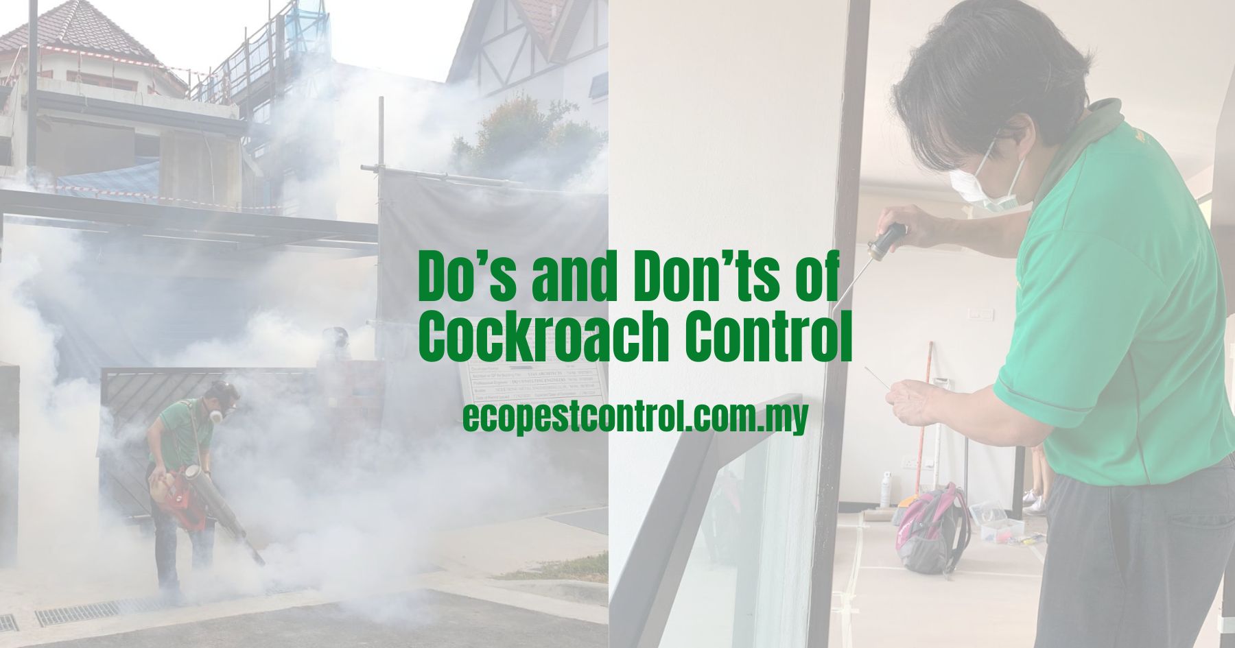 Do’s and Don’ts of Cockroach Control