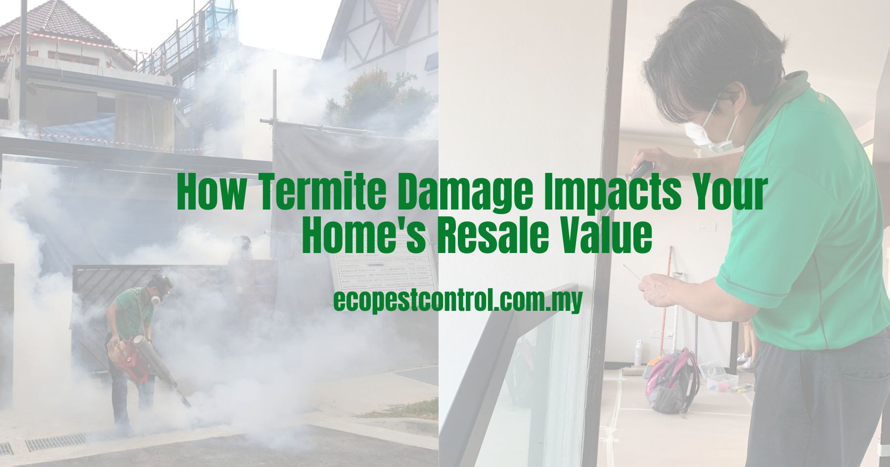 How Termite Damage Impacts Your Home's Resale Value