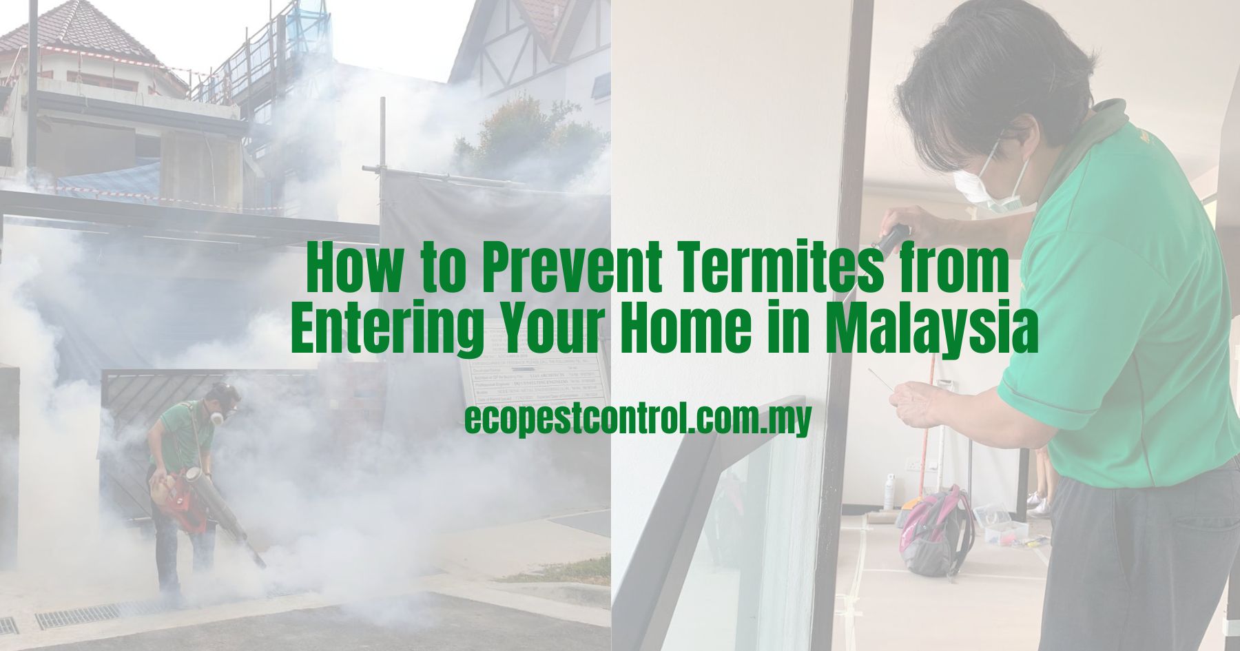 How to Prevent Termites from Entering Your Home in Malaysia