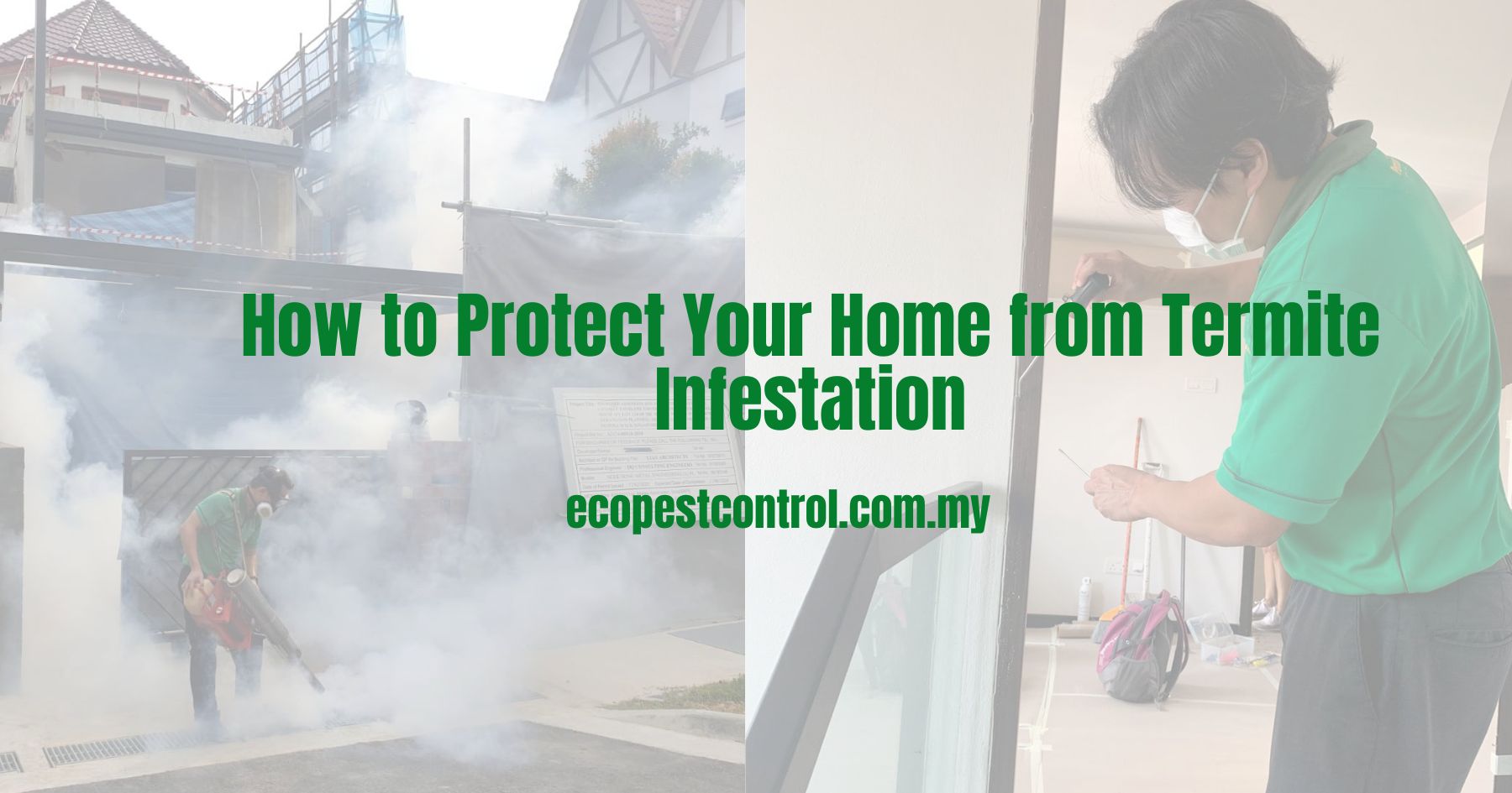 How to Protect Your Home from Termite Infestation