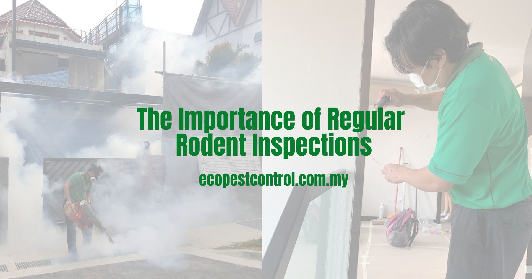 The Importance of Regular Rodent Inspections