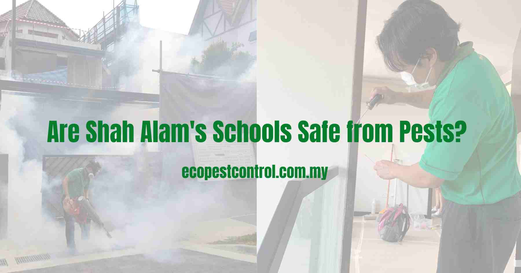 Are Shah Alam's Schools Safe from Pests?