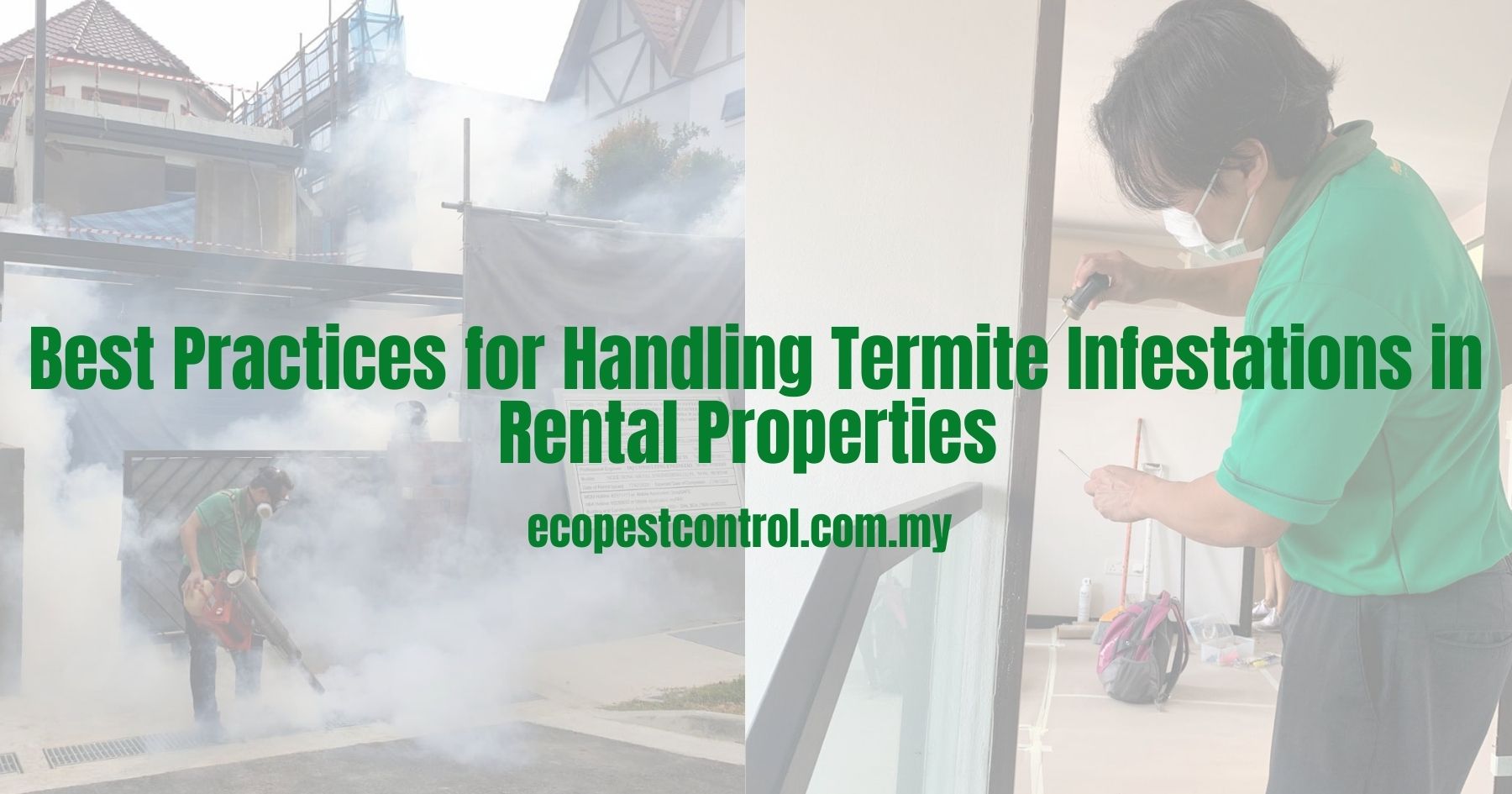 Best Practices for Handling Termite Infestations in Rental Properties