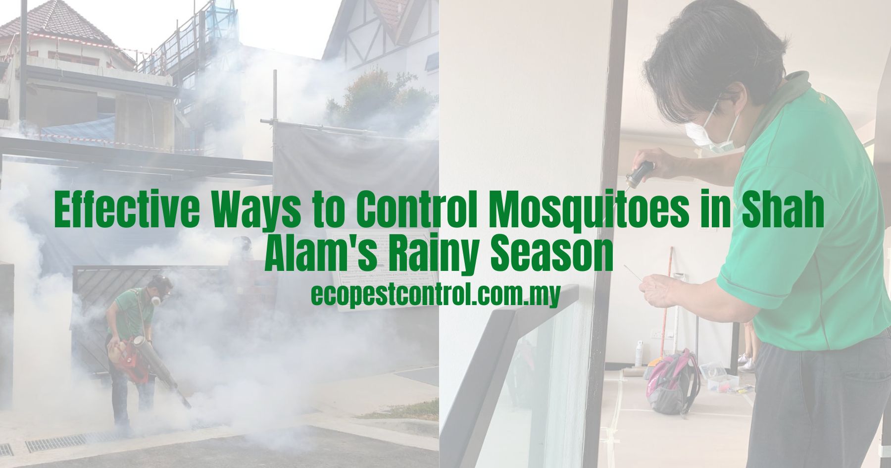 Effective Ways to Control Mosquitoes in Shah Alam's Rainy Season