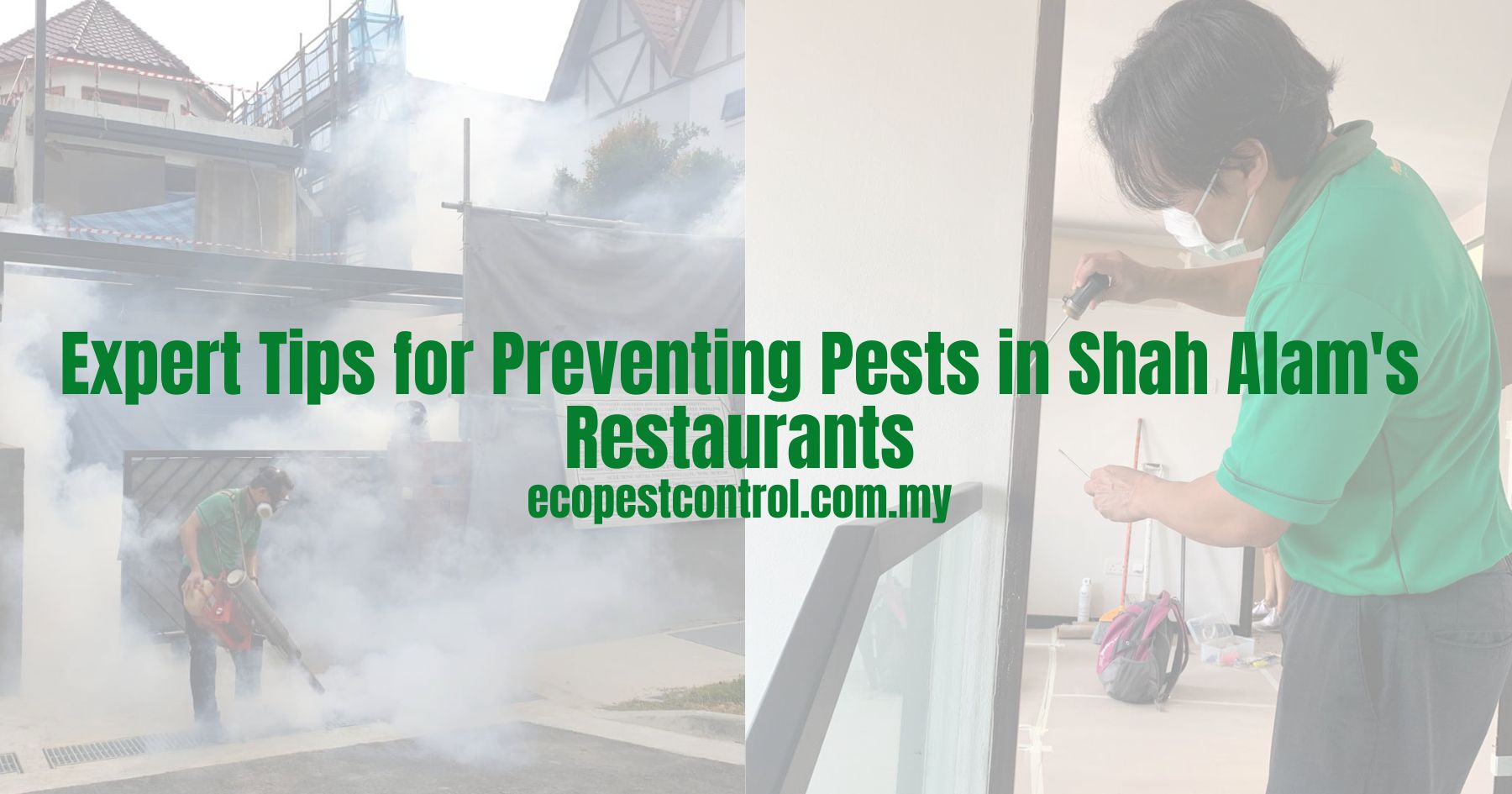 Expert Tips for Preventing Pests in Shah Alam's Restaurants