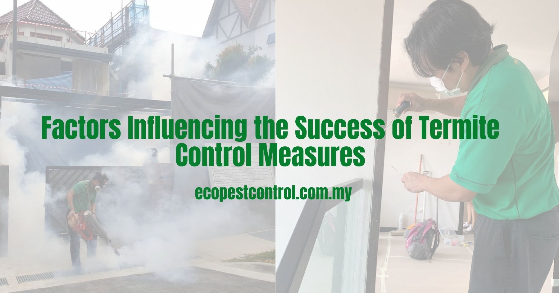 Factors Influencing the Success of Termite Control Measures