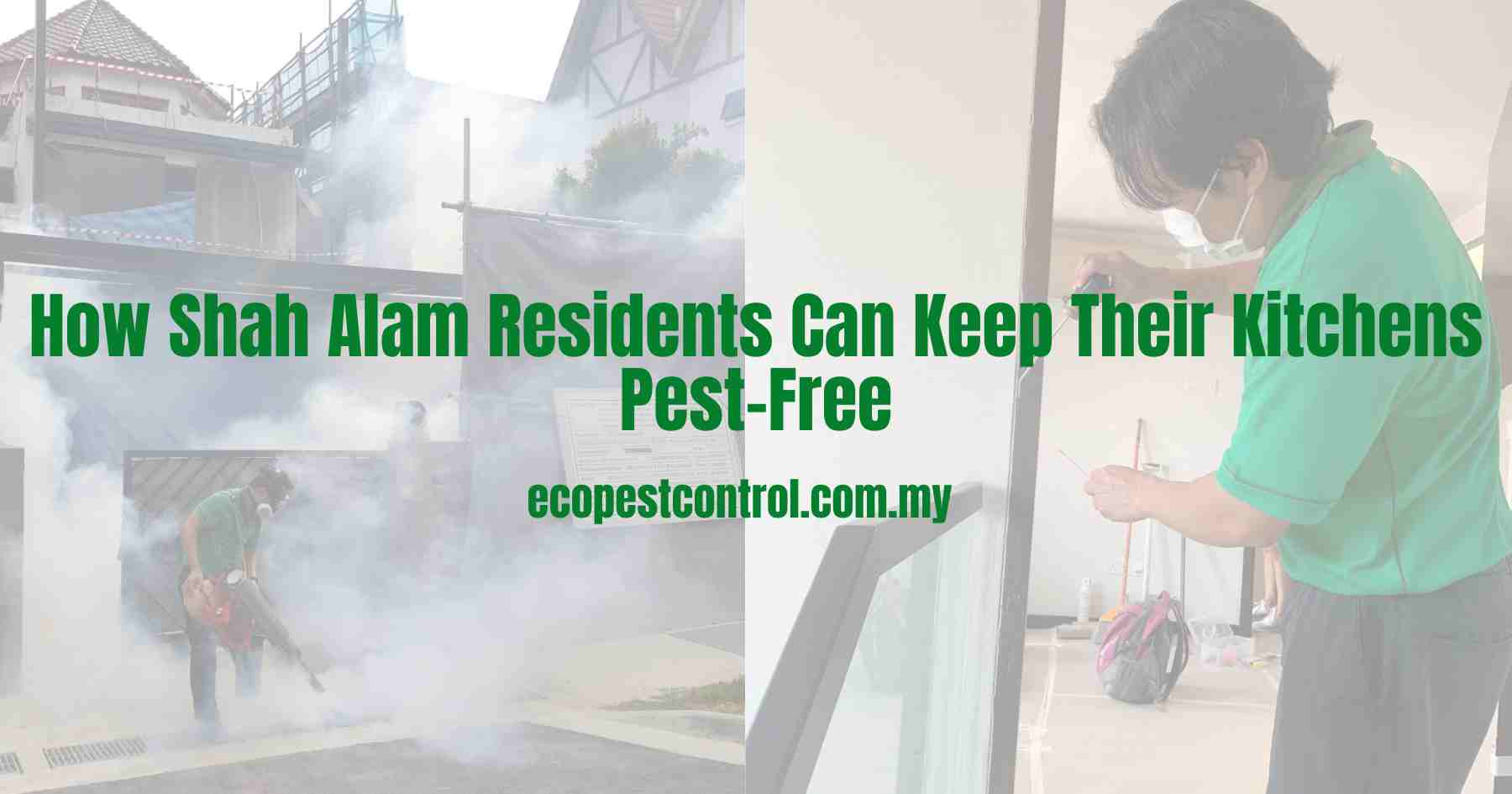 How Shah Alam Residents Can Keep Their Kitchens Pest-Free