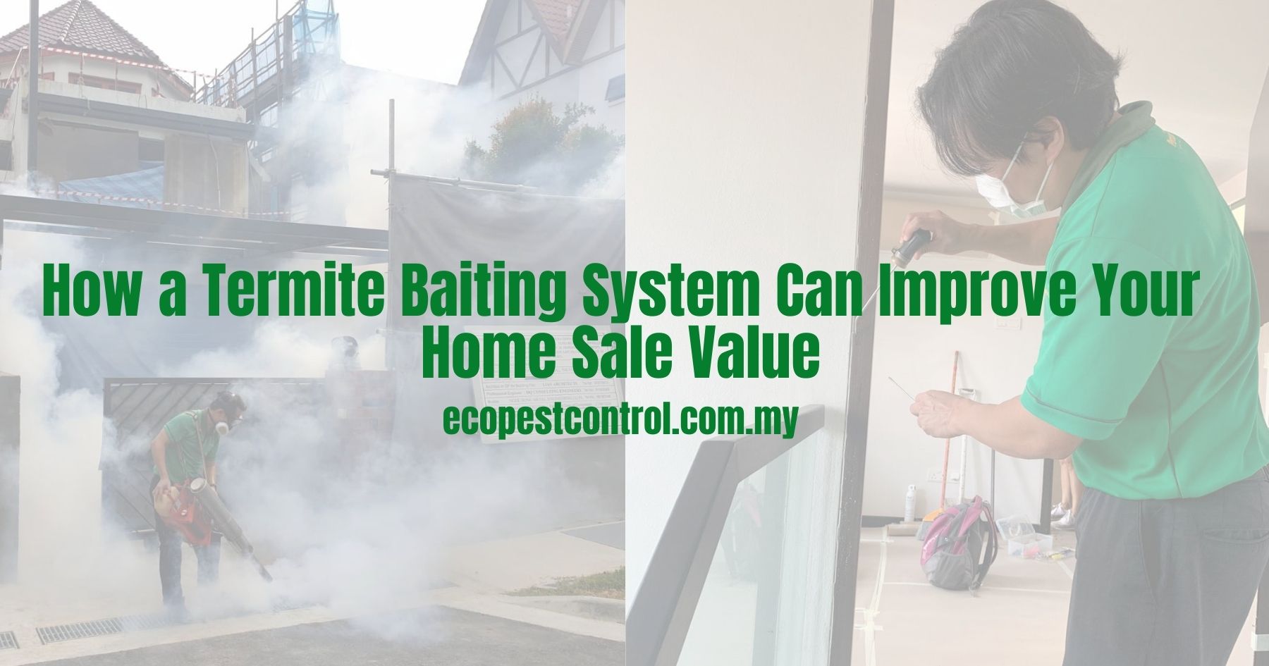 How a Termite Baiting System Can Improve Your Home Sale Value
