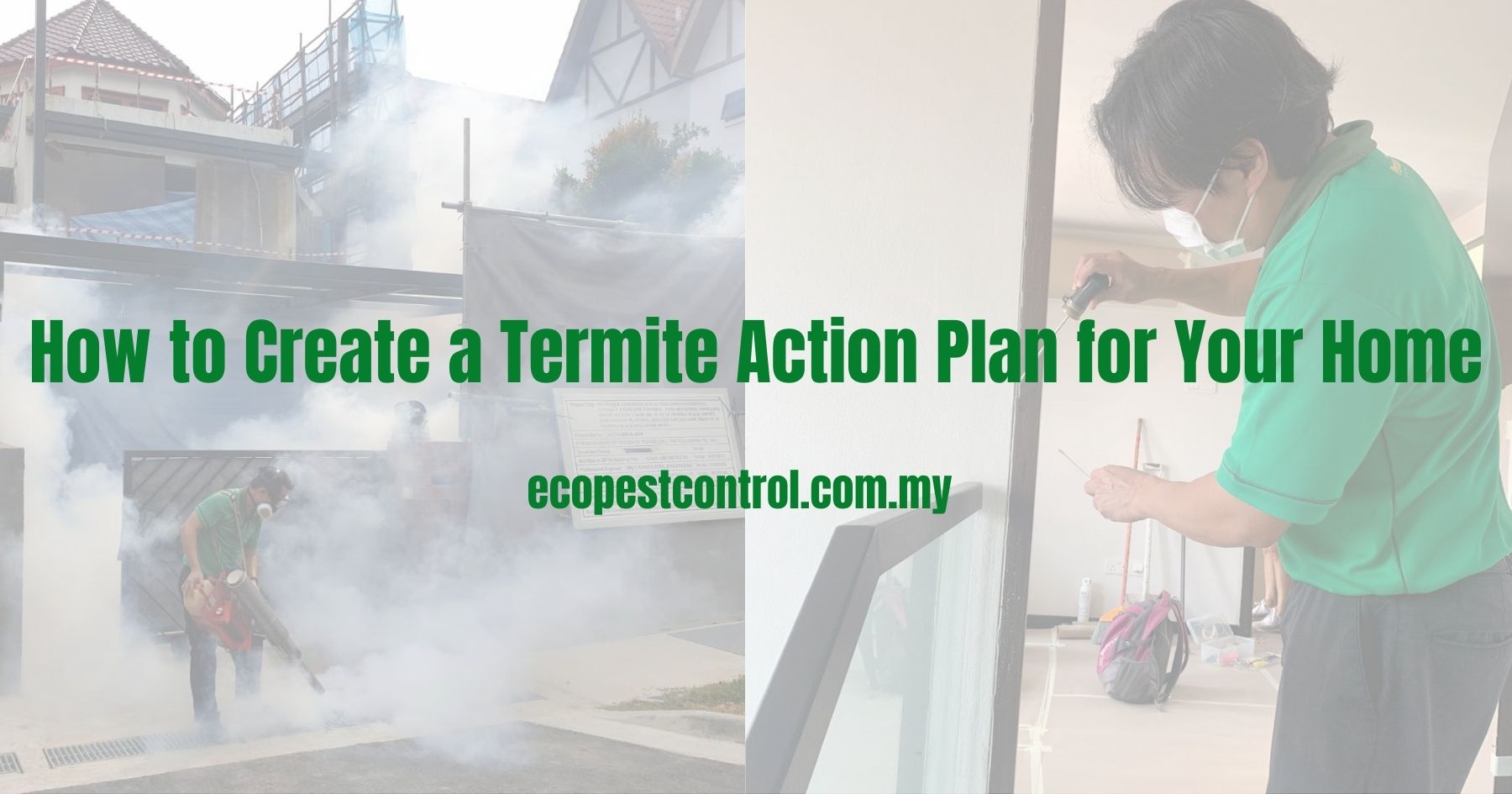 How to Create a Termite Action Plan for Your Home