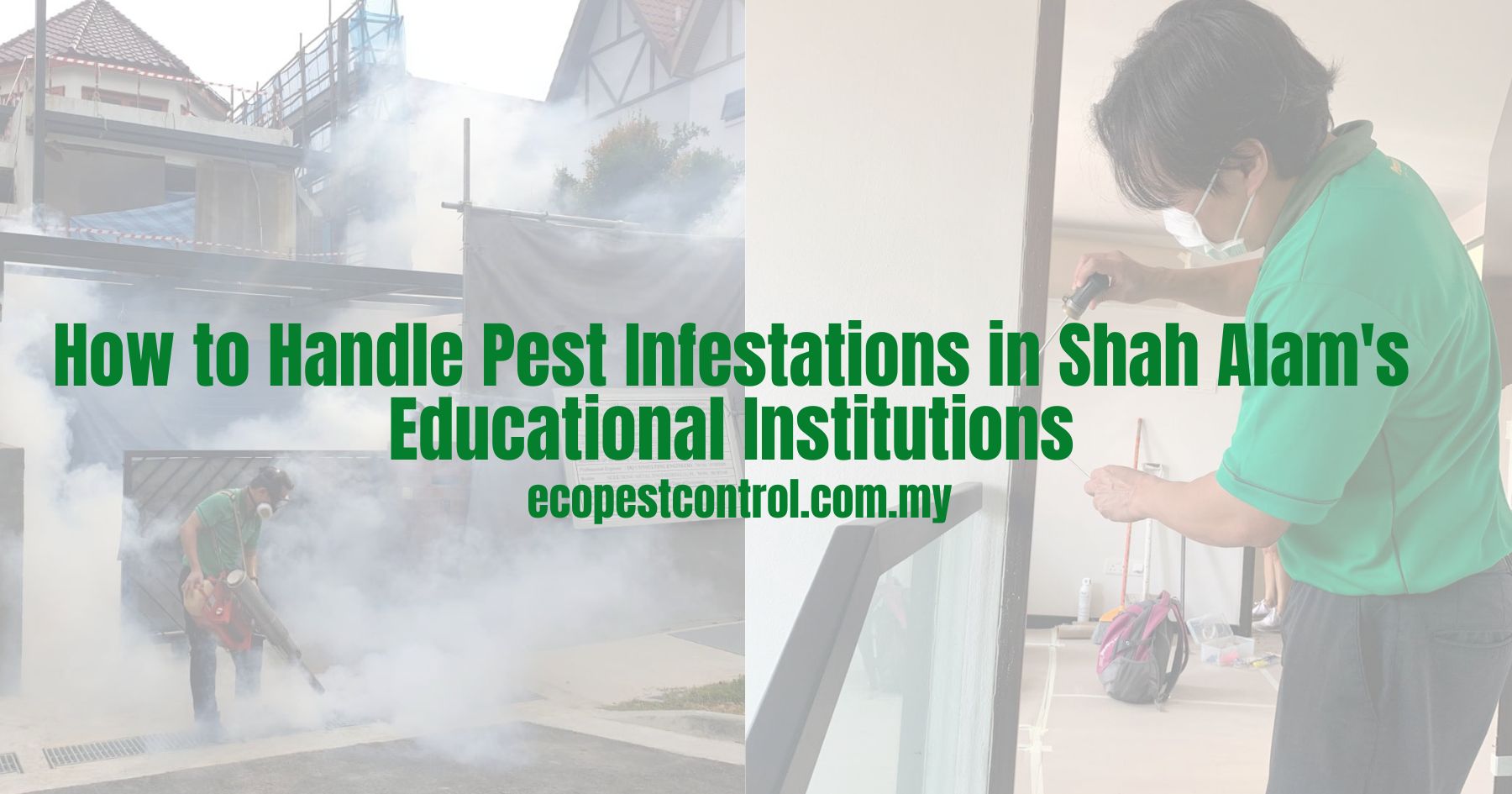 How to Handle Pest Infestations in Shah Alam's Educational Institutions