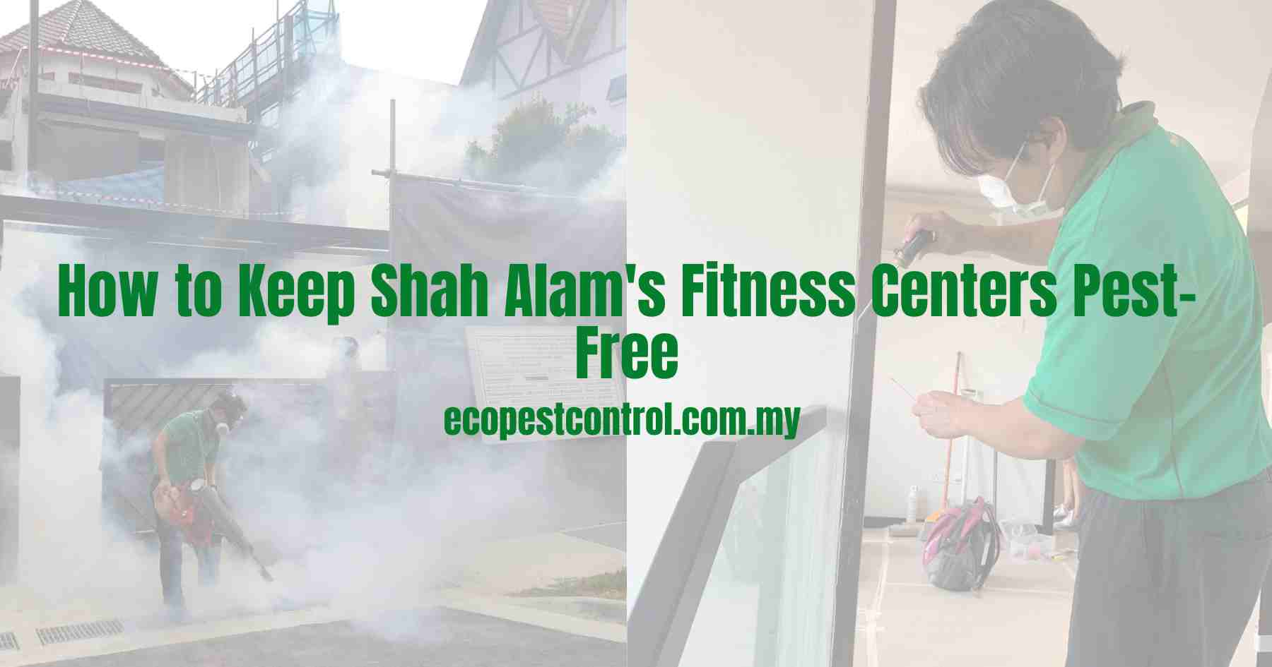 How to Keep Shah Alam's Sports Facilities Pest-Free