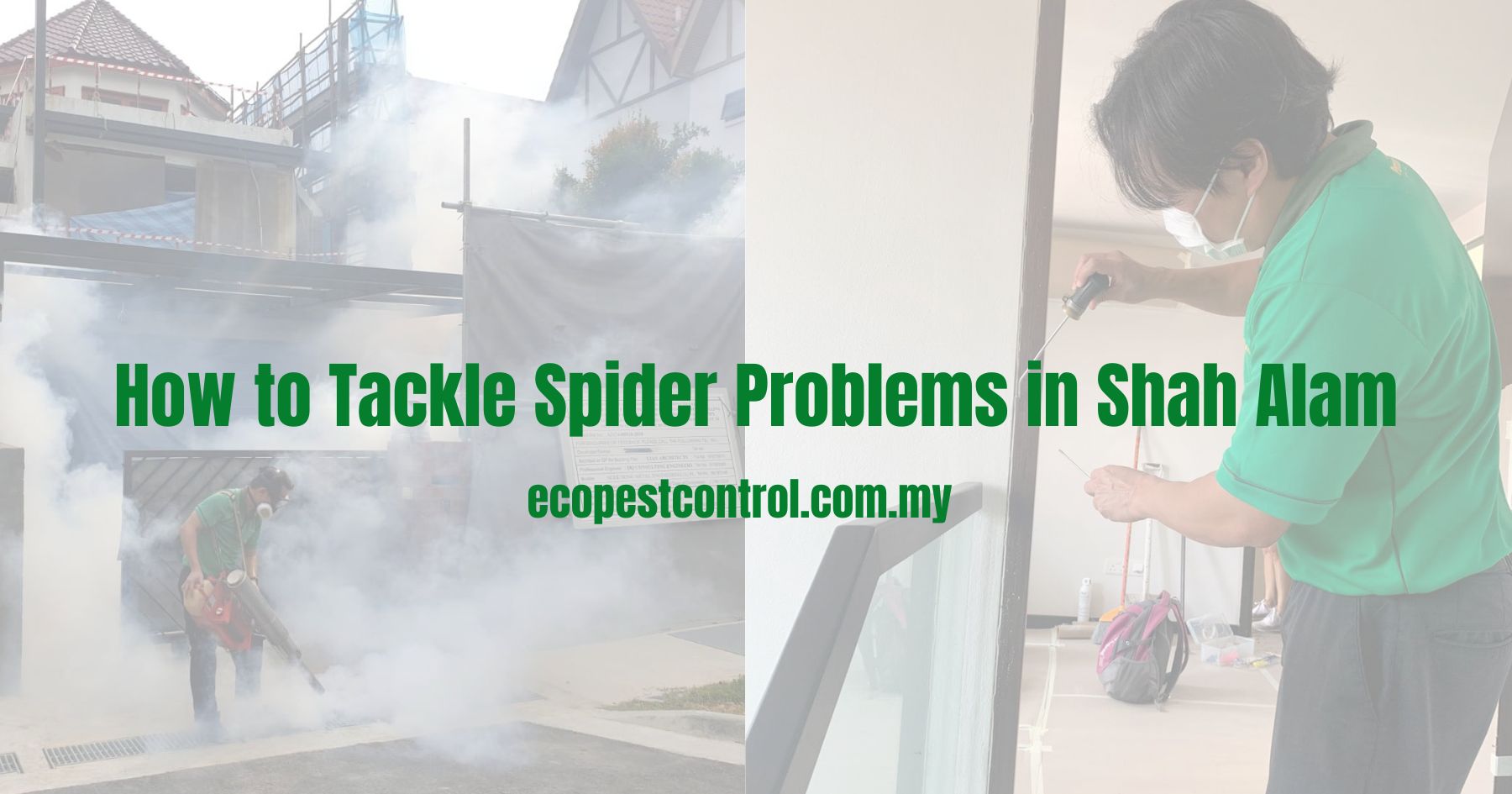 How to Tackle Spider Problems in Shah Alam