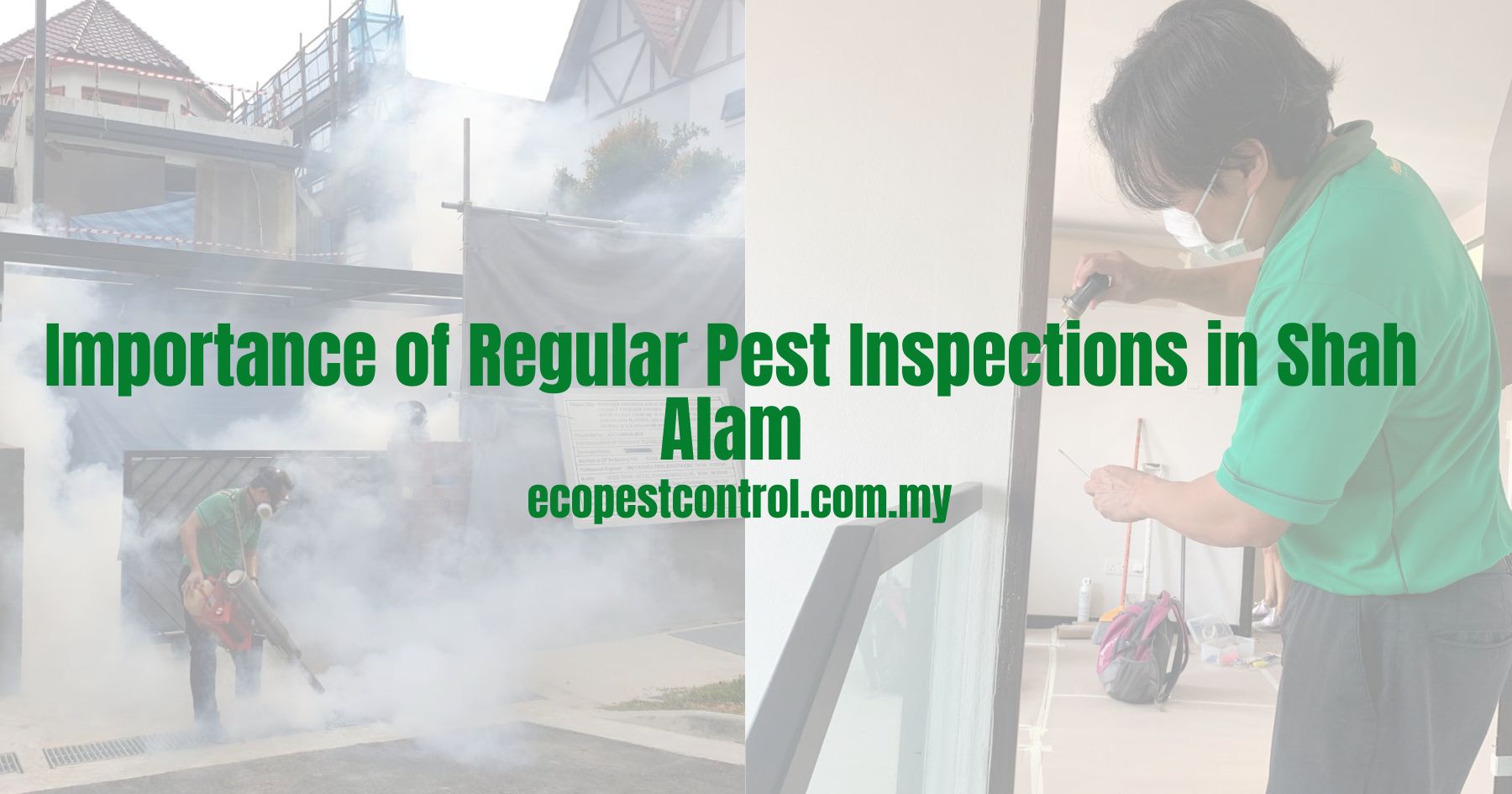 Importance of Regular Pest Inspections in Shah Alam