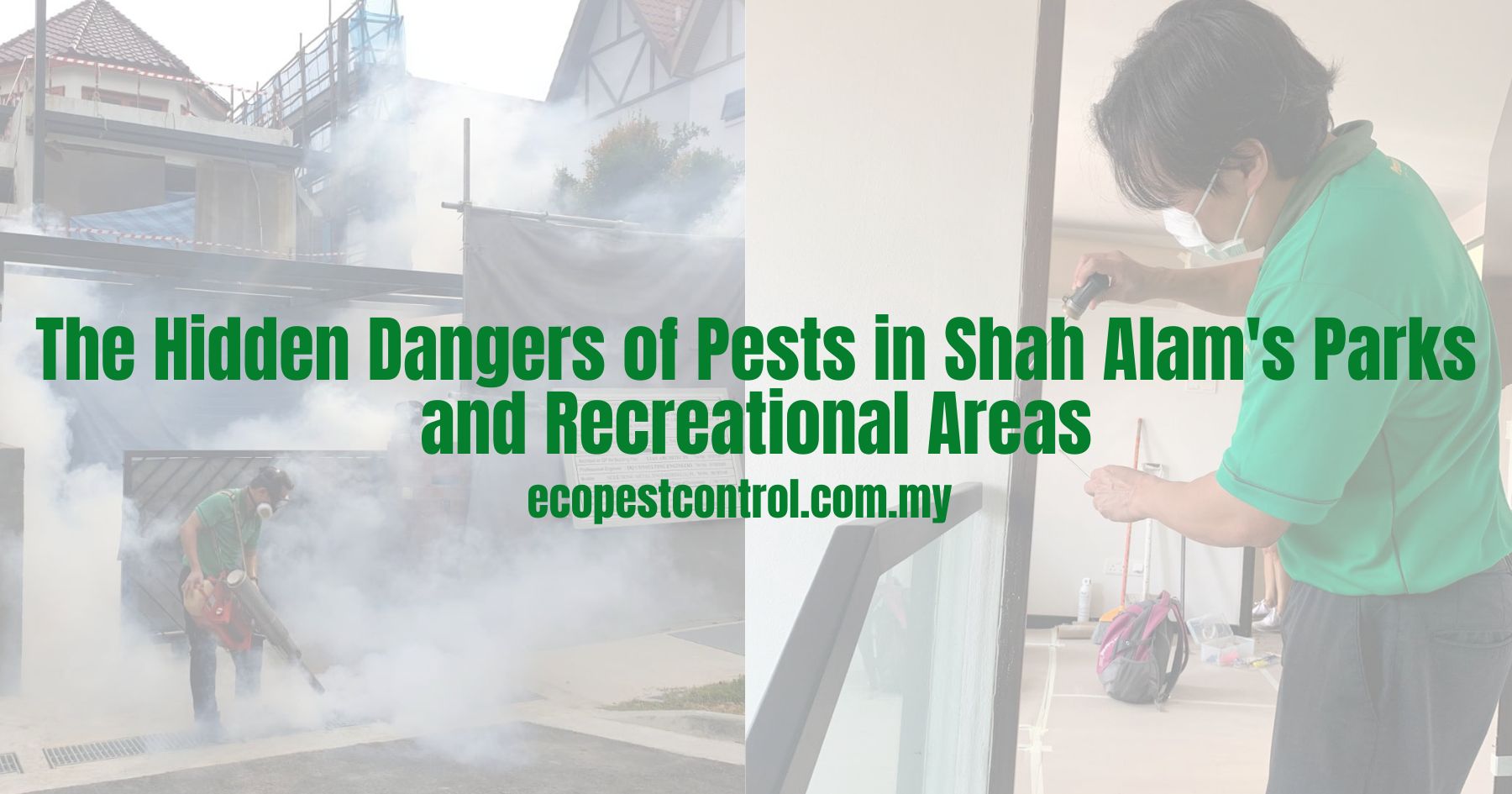 The Hidden Dangers of Pests in Shah Alam's Parks and Recreational Areas
