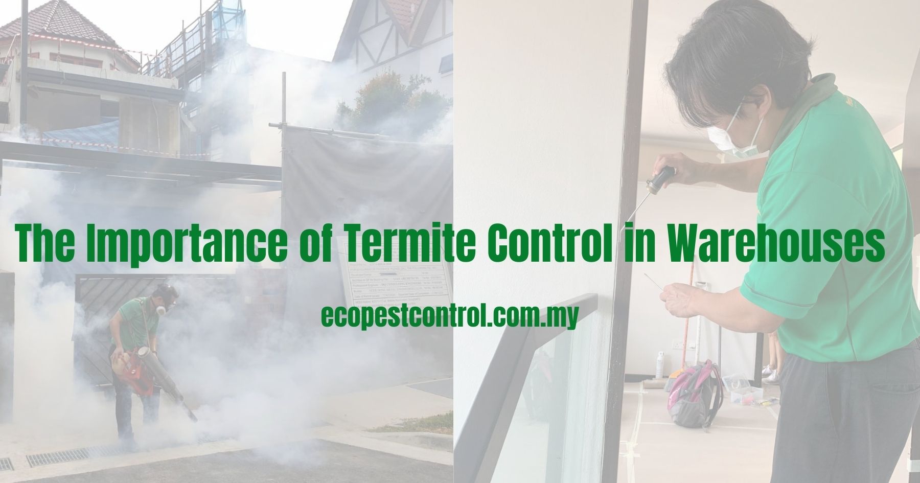 The Importance of Termite Control in Warehouses