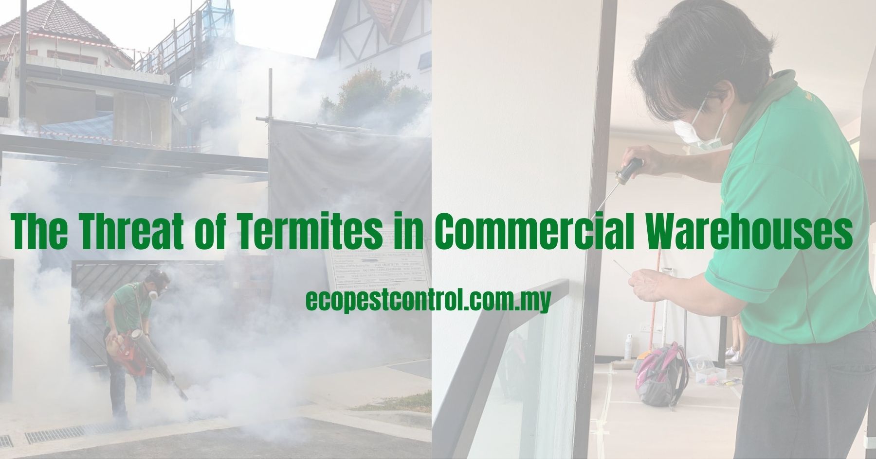 The Threat of Termites in Commercial Warehouses