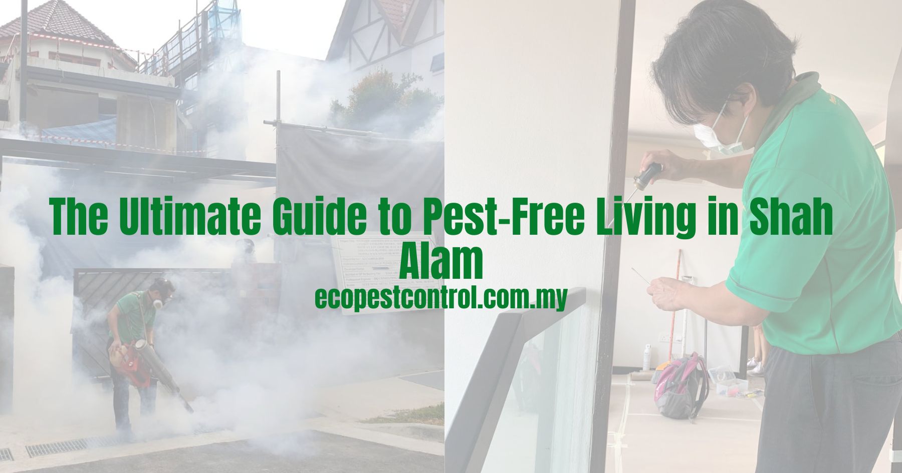 The Ultimate Guide to Pest-Free Living in Shah Alam