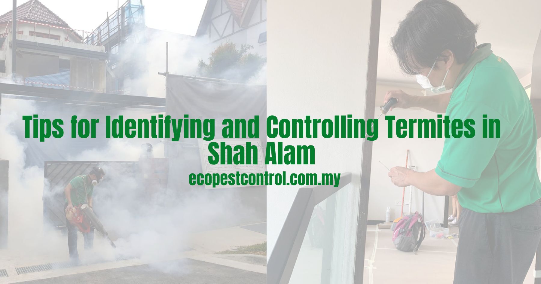Tips for Identifying and Controlling Termites in Shah Alam