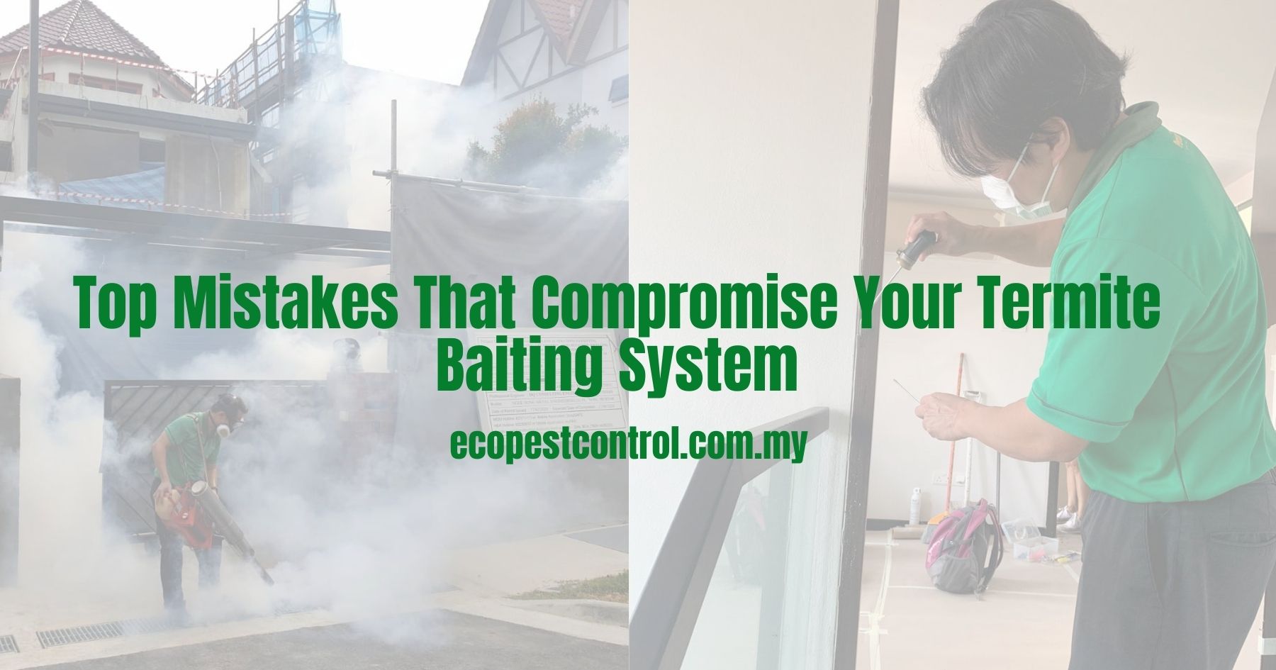 Top Mistakes That Compromise Your Termite Baiting System