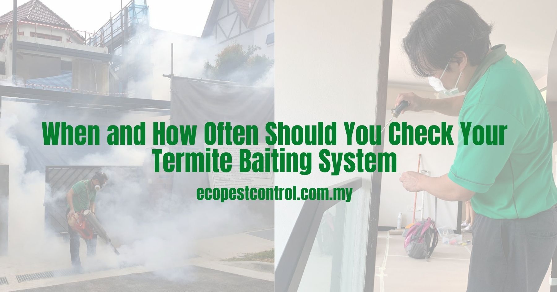 When and How Often Should You Check Your Termite Baiting System