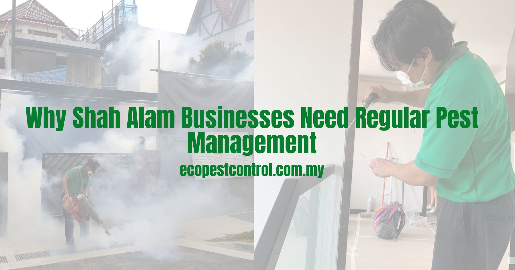 Why Shah Alam Businesses Need Regular Pest Management