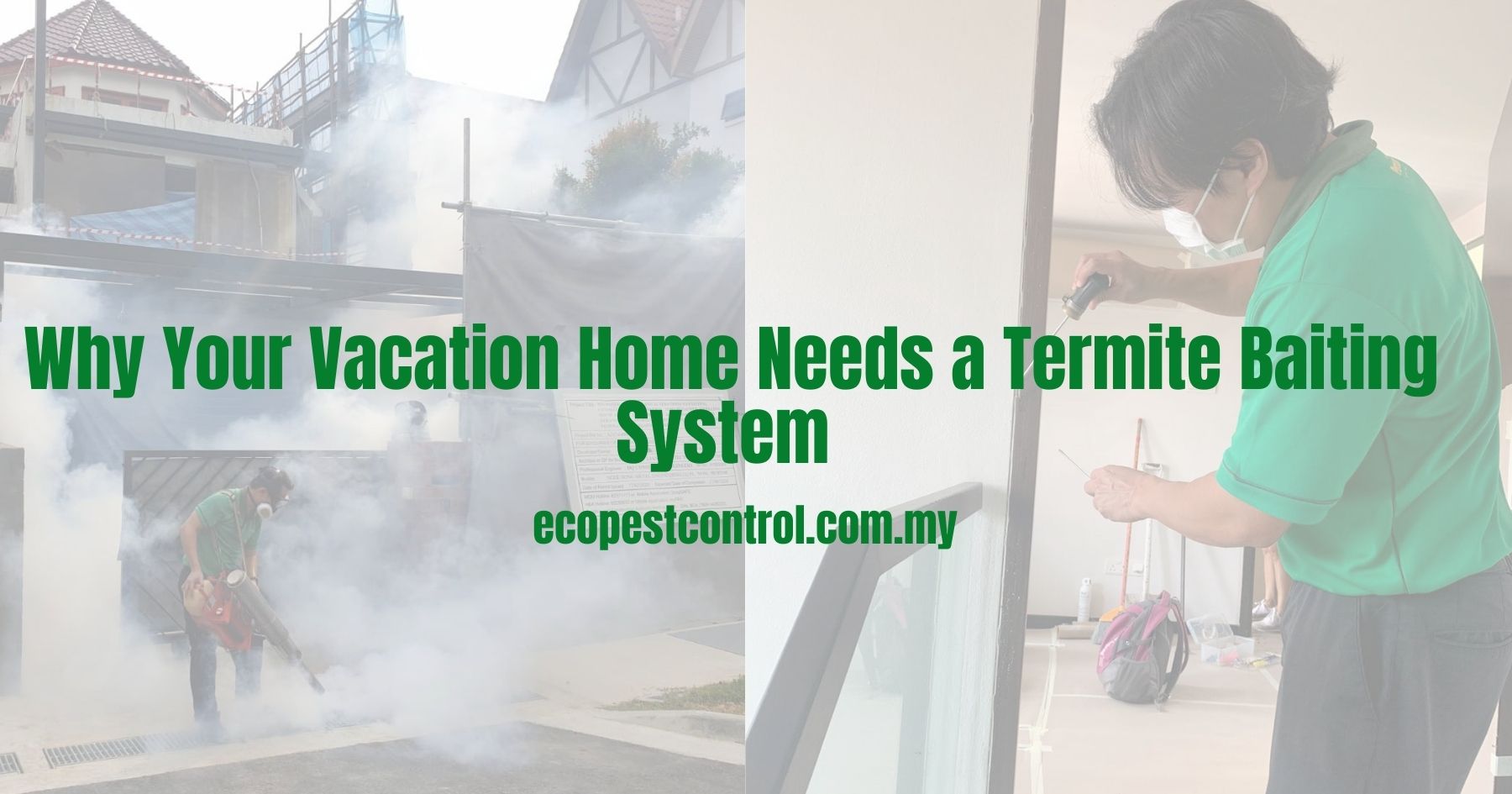 Why Your Vacation Home Needs a Termite Baiting System