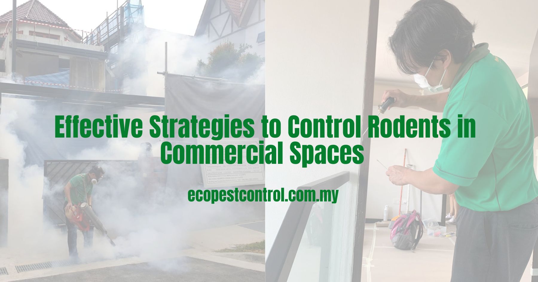 Effective Strategies to Control Rodents in Commercial Spaces