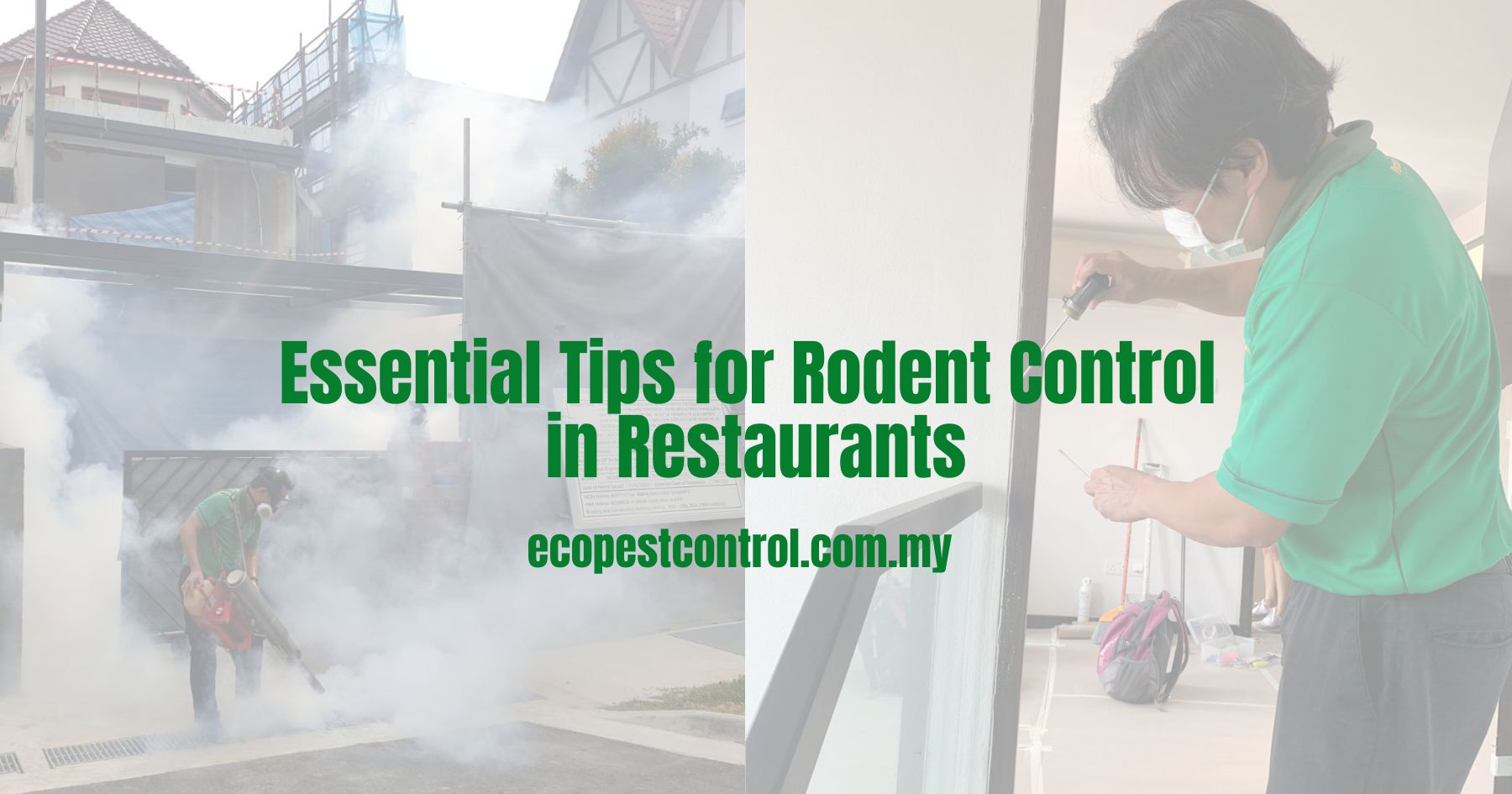 Essential Tips for Rodent Control in Restaurants